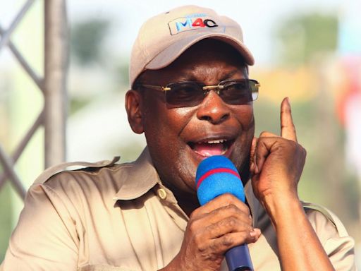 Tanzanian opposition leaders freed after mass arrests