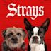 Strays (2023 film)