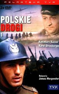 Polskie drogi