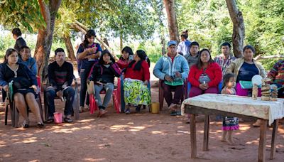 La Nación / Proeza asiste a comunidades indígenas con modelos de negocios agroforestales