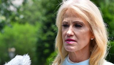 Kellyanne Conway mocked by ex-husband after Kamala Harris attack on Fox News