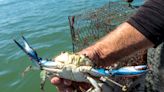 Time to fish for crab and rockfish off Bay Area coast