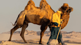 El inmenso desierto cerca de Ica donde se puede pasear en camello sin viajar a Egipto