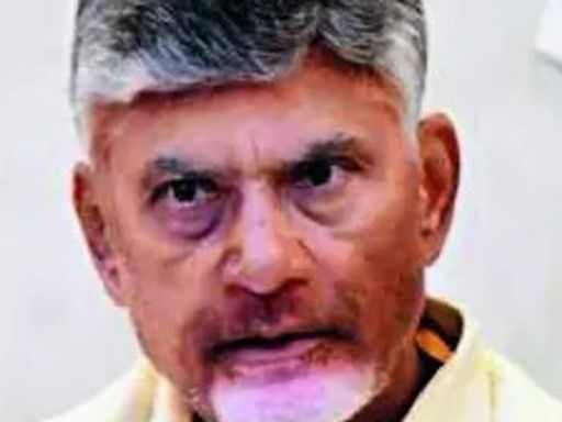 Andhra Pradesh lost ₹7L cr due to YSRCP govt policies, says CM Chandrababu Naidu - The Economic Times
