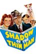 Shadow of the Thin Man