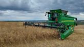 Harvest 2024: Rutland grower cuts OSR after rain delay - Farmers Weekly