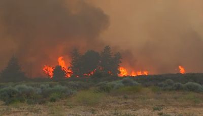 Nuevos datos muestran dramático incremento de incendios forestales en California