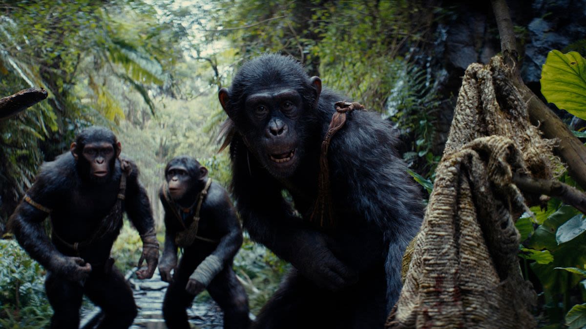 Kingdom Of The Planet Of The Apes Director Explains His ...The Caesar Trilogy And His Movie