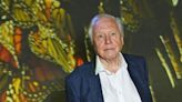 David Attenborough replaced by BBC in major shake-up of popular show