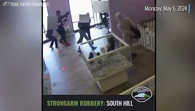 Watch: Thieves steal puppies from Pierce County pet store, pushing employees to floor