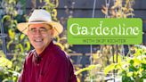 Don't be afraid to fail at gardening | NewsRadio 740 KTRH | GardenLine
