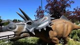 Triceratops makes for dino-mite conversation piece in Vancouver man's front yard