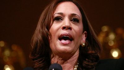 La Nación / Nueva encuesta pone a Kamala Harris por encima de Donald Trump