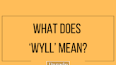 Huh? Here's Exactly What 'WYLL' Means on Social Media