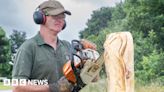 Roundhay Park: Chainsaw artist carves new sculpture trail in park