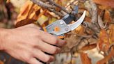 'Cuts like a hot knife through butter:' These powerful Fiskars pruning shears are down to just $14