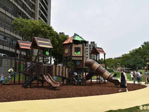 遊憩場域全面升級！ 中壢星河親子公園喜獲「樹屋造型滑梯遊具組」