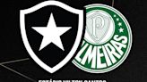 Botafogo x Palmeiras ao vivo: onde assistir, horário e escalações