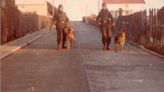 La historia de los perros de guerra en Malvinas