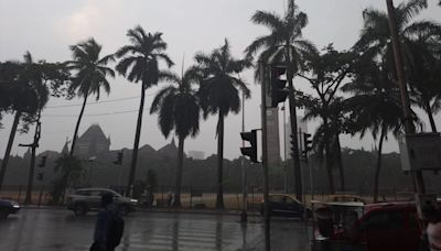 Mumbai Weather Update: IMD Issues Yellow Alert For City, Suburbs, Thane & Palghar Till July 24