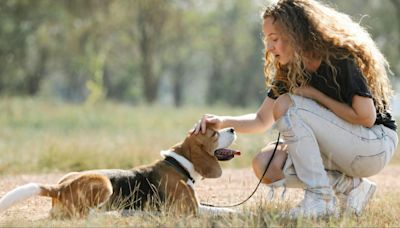 Una asociación ciudadana pide que los perros puedan pasear sin correa en los parques y jardines de Cáceres