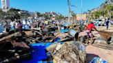 Acapulco celebra torneo de pesca de basura para limpiar su mar tras golpe del huracán Otis