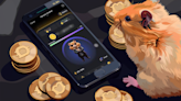 ‘Hamster Kombat’ Telegram Game Airdrop: Everything You Need to Know - Decrypt