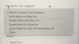 'Kutta Pagal Ho Gaya Hai': Jaipur Municipal Corporation's Online Complaint Section Goes Viral - VIDEO