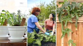 10 Affordable Ways To Garden Even if You Don't Have a Backyard