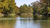 Three types of Guadalupe River mussels declared endangered