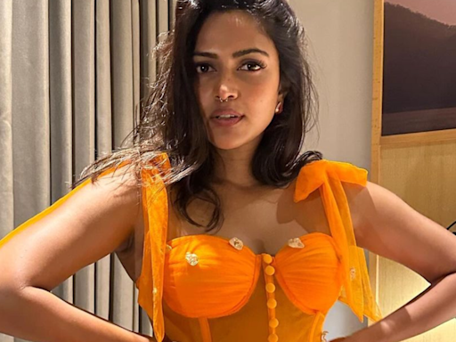 Amala Paul Reacts To Criticism Of Outfit She Wore During Level Cross Promotion: 'The Problem Lies With...'