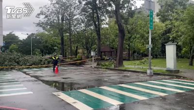 台中一晚強風吹倒上百棵樹！天亮上班風雨正大