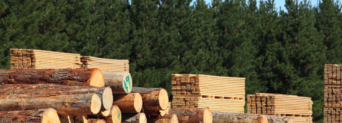 West Fraser Timber Co. Ltd. (TSE:WFG) is a favorite amongst institutional investors who own 45%