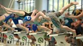 Senator swimmers well represented at state meet