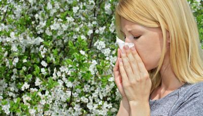 ¿Tienes alergia? Consulta los niveles de polen en Córdoba esta semana