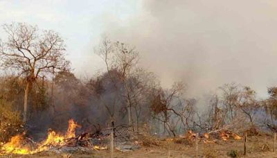 Combaten aún ocho incendios en los departamentos de Beni y Santa Cruz - El Diario - Bolivia