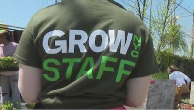 GrowNYV gives Brooklyn residents valuable gardening information