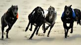 MSP wins enough support to introduce greyhound racing ban Bill at Holyrood