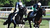 Competitive Belmont Stakes crowns massive racing festival at Saratoga