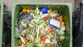 Panel at St. Mary's College in Indiana considers how to fight food waste