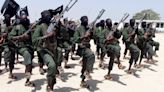 US strikes in Somalia kill 3 militants linked to al Qaeda