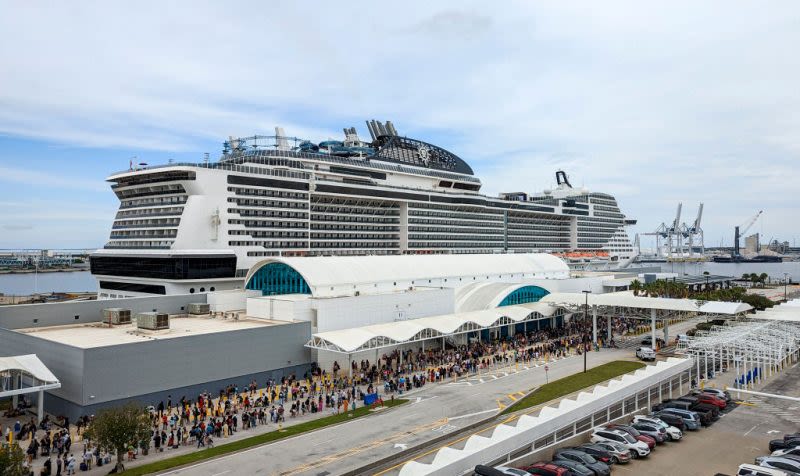 MSC cruise ship sails into NYC with 44-foot dead endangered whale across its bow