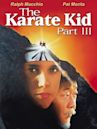 Karate Kid III - La sfida finale