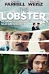 The Lobster