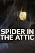 Spider from the Attic