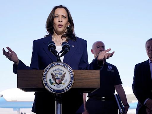 Kamala Harris, ‘border czar’?