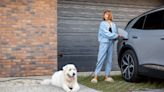 Best new and used electric cars for dog lovers have plenty of space and range