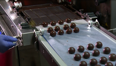 'Sweets are my thing': Asian-owned chocolate business a hit with locals and celebrities