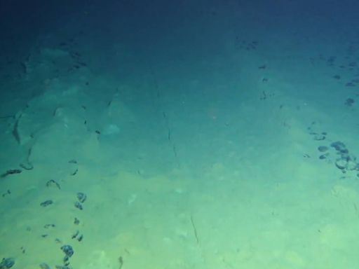 Misterioso 'oxigênio negro' é descoberto nas profundezas do oceano