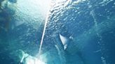 東北規模最大！水族館「海藍寶石福島」吸睛的獨特展示！